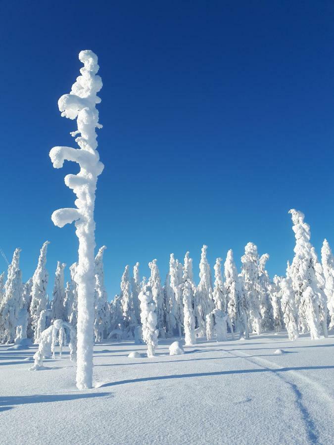 Valkea Arctic Lodge Пелло Экстерьер фото